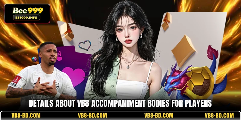 Details about VB8 accompaniment bodies for players