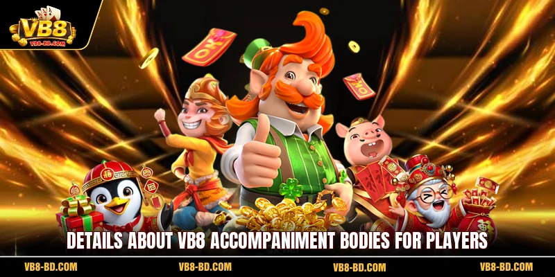 Details about VB8 accompaniment bodies for players