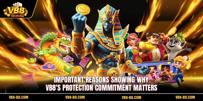 Important reasons showing why VB8's protection commitment matters